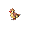 Pidgey Pokedex sprite