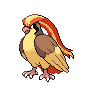 Pidgeot Pokedex sprite