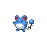 Marill Pokedex sprite