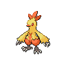 Combusken Pokedex sprite
