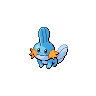 Mudkip Pokedex sprite