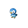 Piplup Pokedex sprite