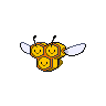 Combee Pokedex sprite