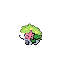 Shaymin Pokedex sprite