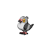 Pidove Pokedex sprite