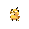 Psyduck Pokedex sprite