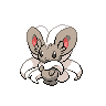 Cinccino Pokedex sprite