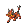 Torracat Pokedex sprite