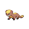 Yungoos Pokedex sprite