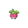 Bounsweet Pokedex sprite