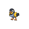 Wattrel Pokedex sprite