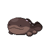 Clodsire Pokedex sprite
